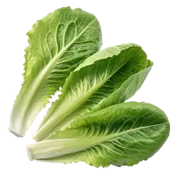 Imagen PNG para descargar